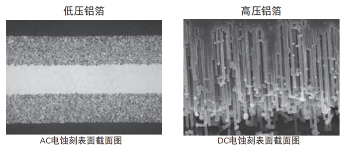 企業(yè)微信截圖_15943707534879.png